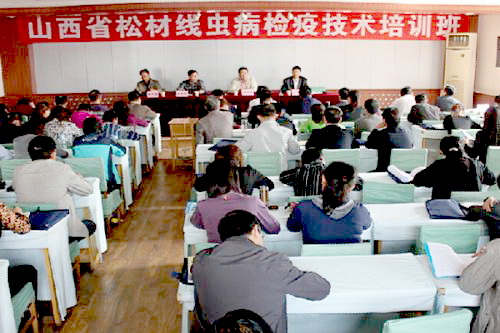 �����ɲľ�(xi��n)�x(ch��ng)���Ό�(zhu��n)�(xi��ng)�W(xu��)��(x��)����Ӗ(x��n)